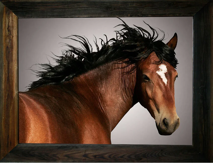 If I Could Only Fly from $295.00