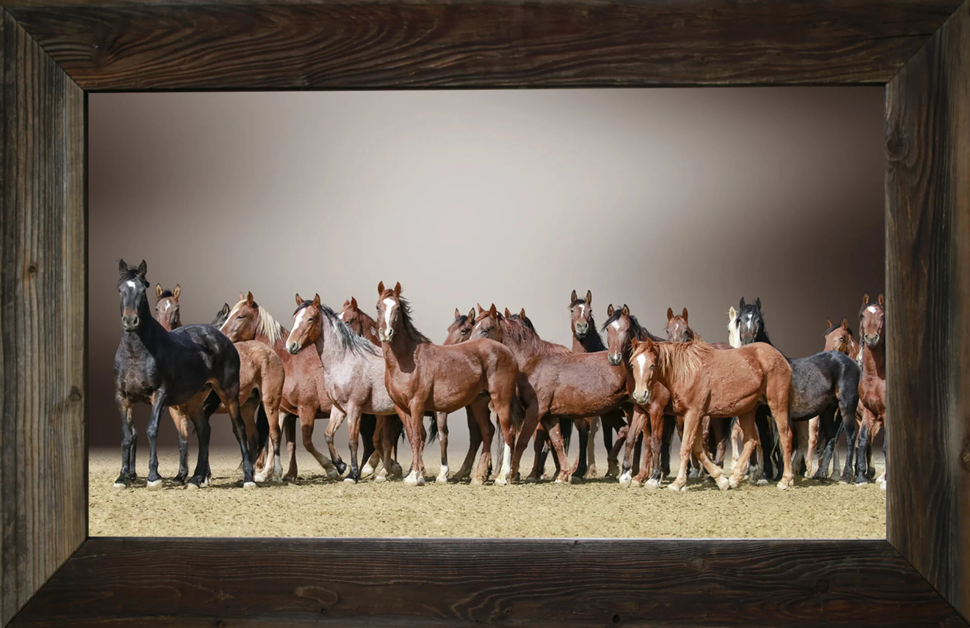 The Runnin’ Kind from $295.00