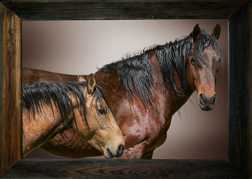 Listening to the Wind from $295.00