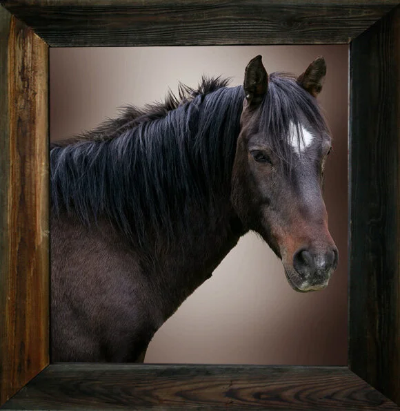 If Teardrops were Pennies from $295.00