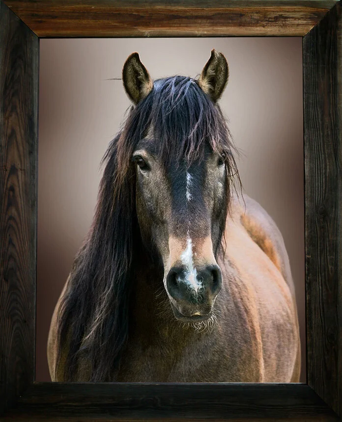 I Wish My Baby Was Born from $295.00