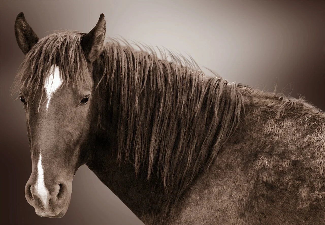 Oh the Water So Deep from $295.00