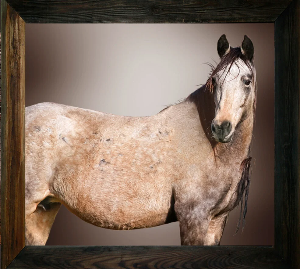 Sweet Baby's Arms from $295.00