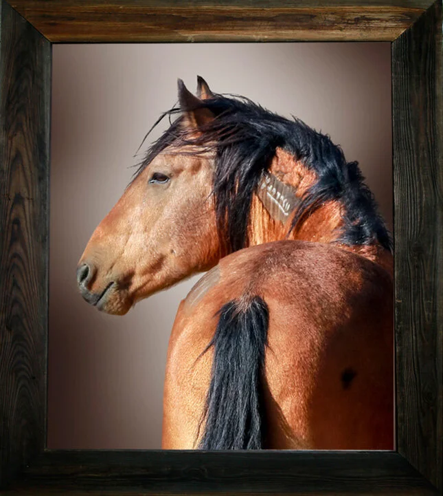 Angel Giant from $295.00