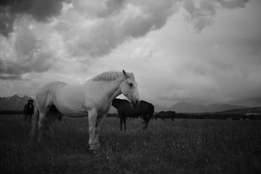 Mother Asleep from $295.00