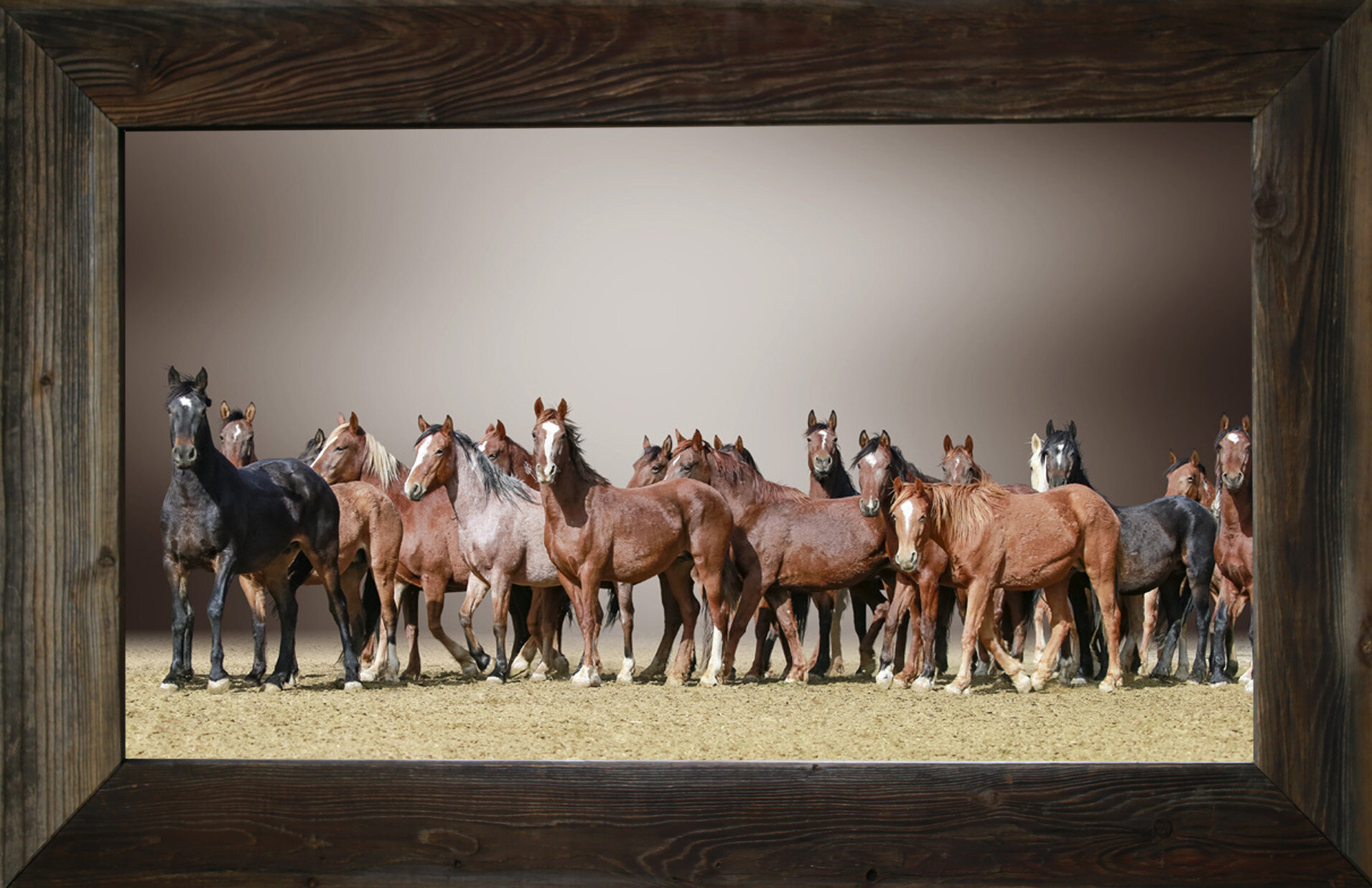 The Runnin’ Kind from $295.00