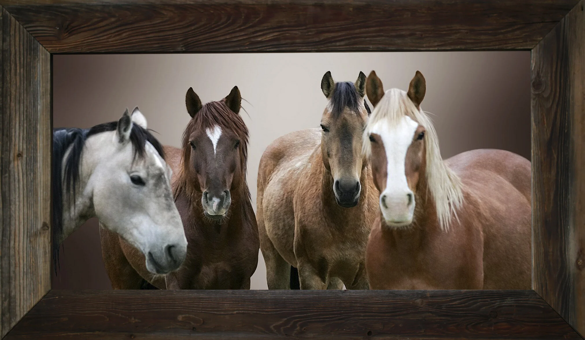 Precious Memories from $295.00