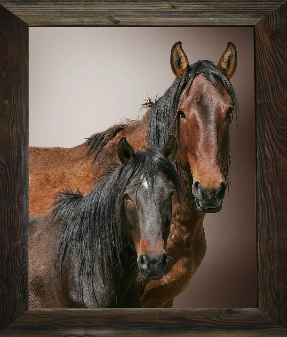 Mama’s Hungry Eyes from $295.00