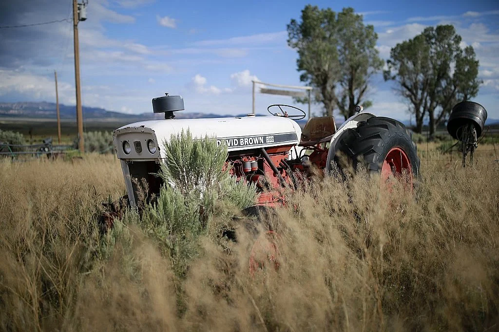 I've Got A Mule to Ride