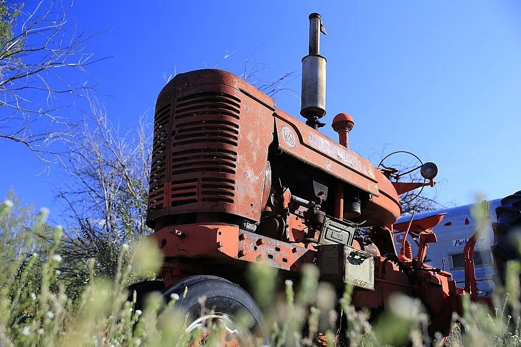 Maybe I Didn't Love You Quite As Often as I Could Have