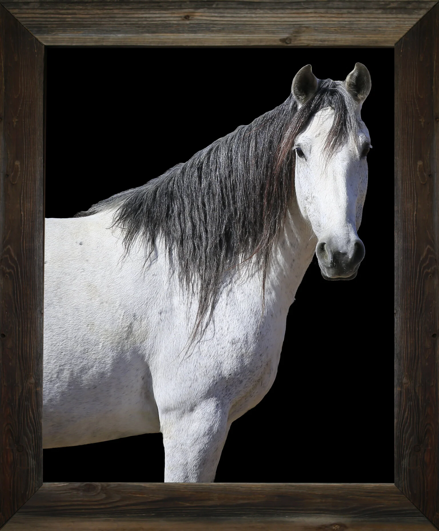 Hemlocks &amp; Primroses