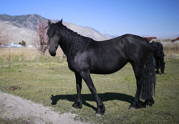 He Kept Her Picture on His Wall