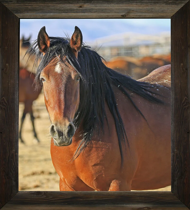 Can't You Hear Me Calling