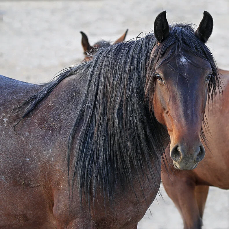 When I Stop Dreaming