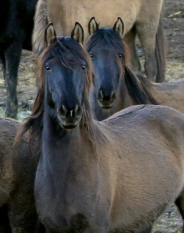 Thank You Lord for Saving Me