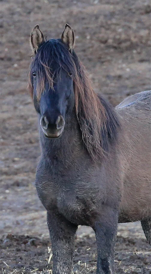 I Wasted All My Tears on You