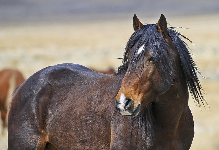 This One's Gonna Hurt You