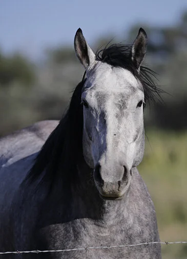 Within Me There is A Prison