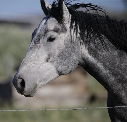 When Did You Stop Loving Me?