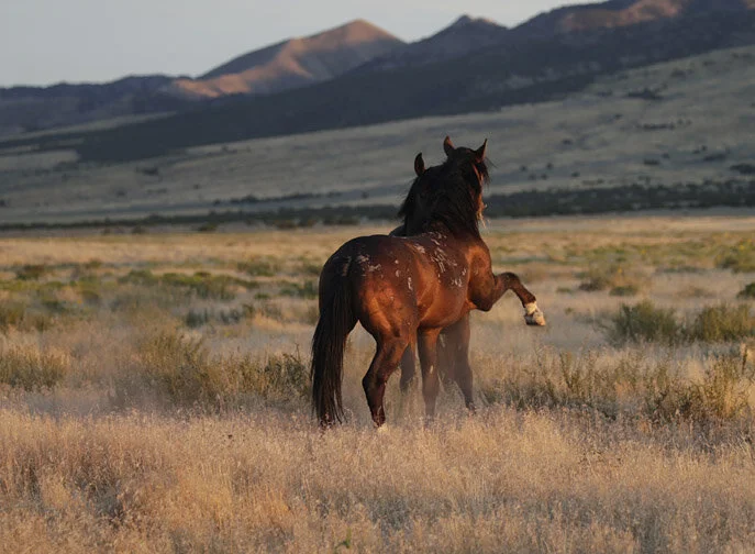 You Ain't Goin' Nowhere