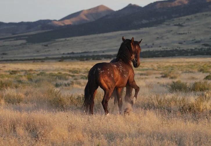 Don't Care Who is Wrong or Right