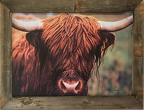 If An Old Friend I Know Drops by to Say Hello - Bison