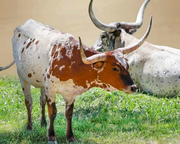 Sit Down On My Knees