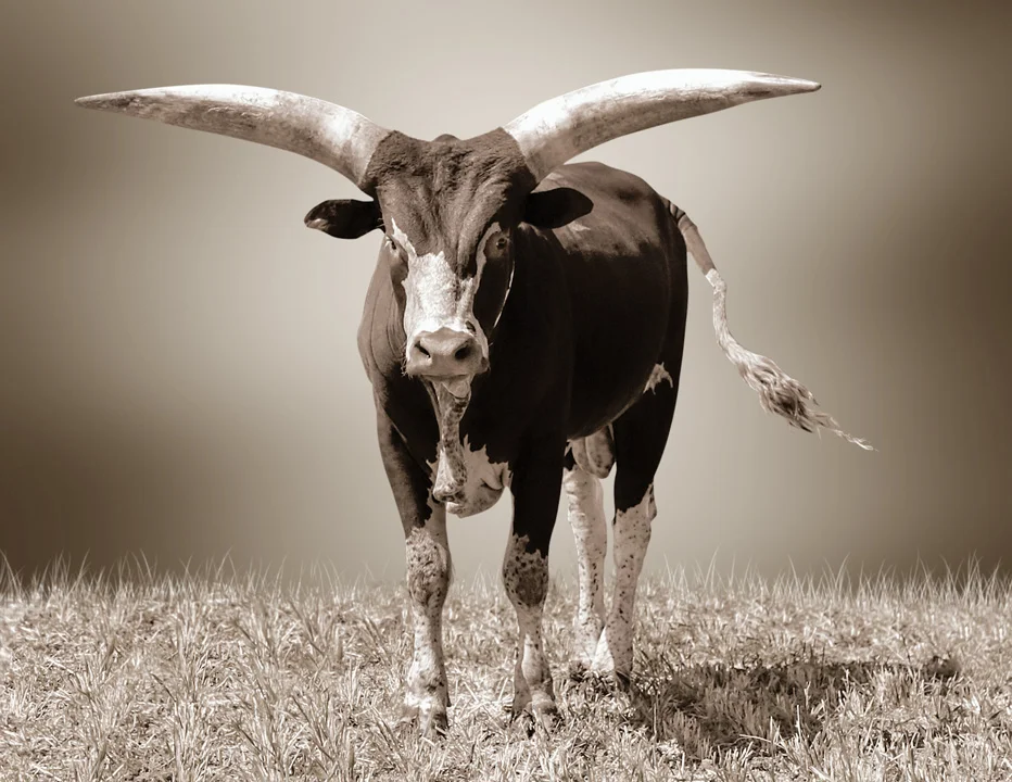 You Destroyed My Weak Mind