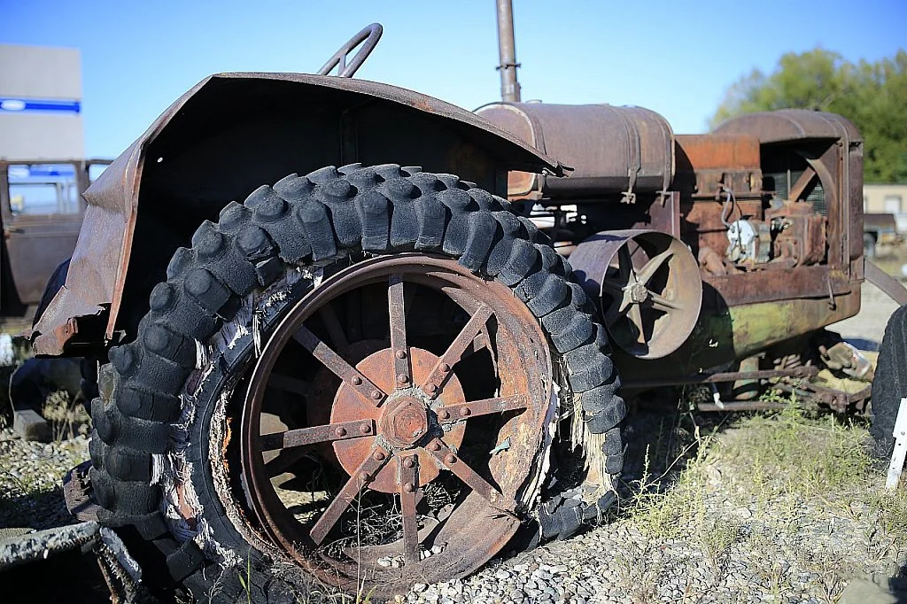 She Doesn't Need Another Hungry Mouth to Feed