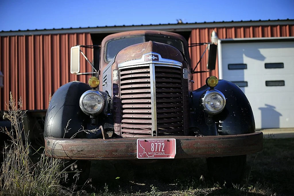 Show Them Your Mercy