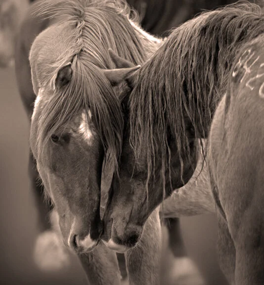 LL9N4084_sepia_theoldcrossroads.jpg