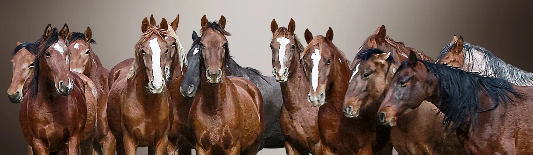 Don't Look So Surprised