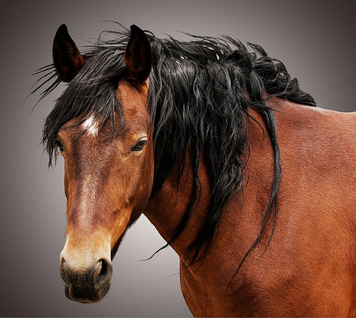 Going Away with Jesus