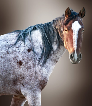 Been In Prison for Something I Never Done