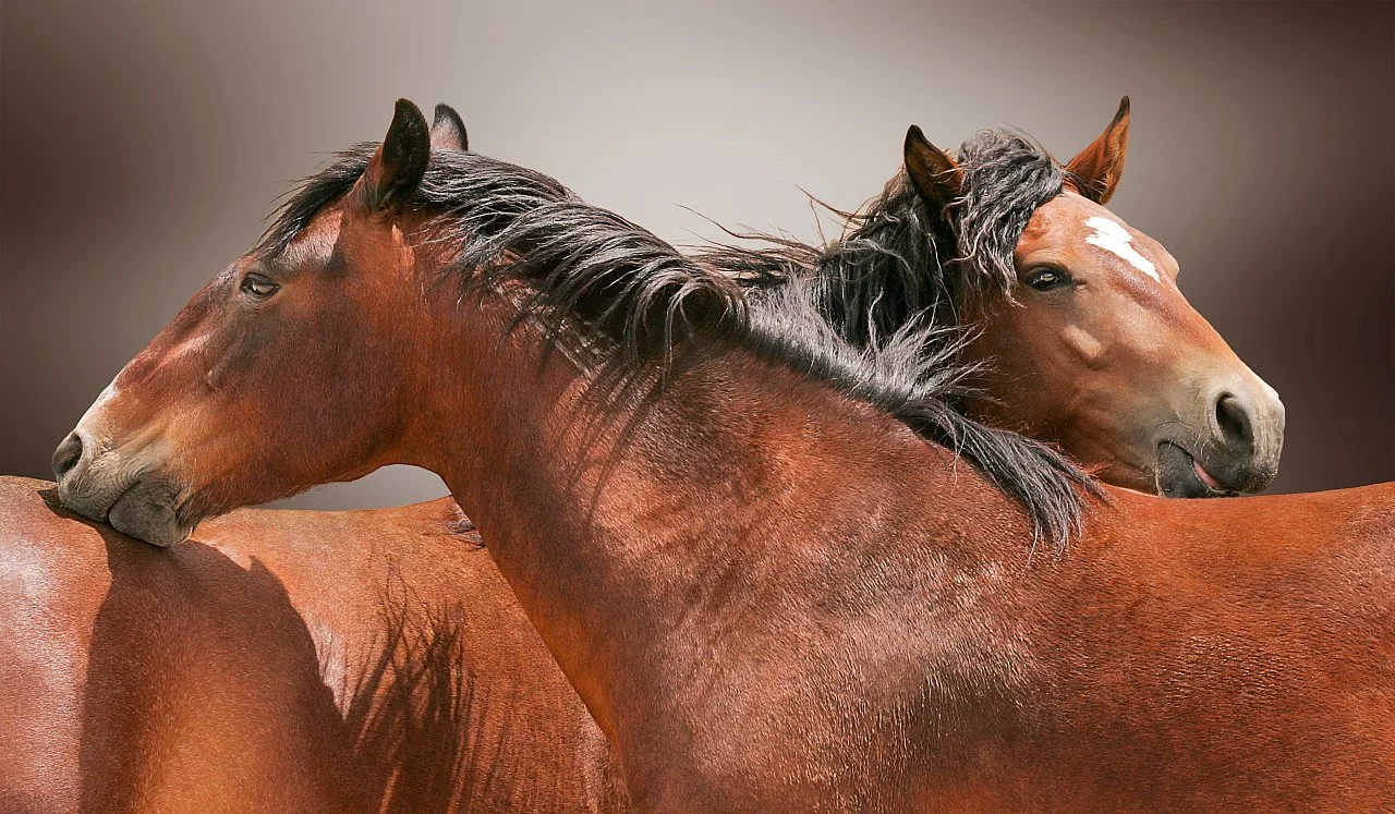 He Stopped Loving Her Today