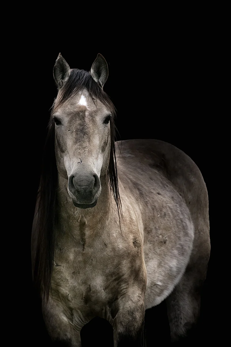 I Hear the Rolling Thunder