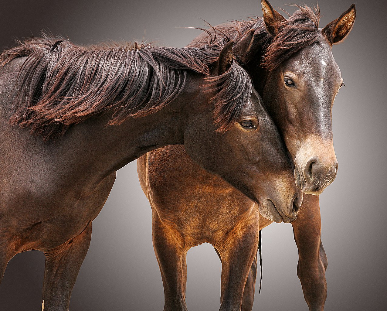 I Started Loving You Again 