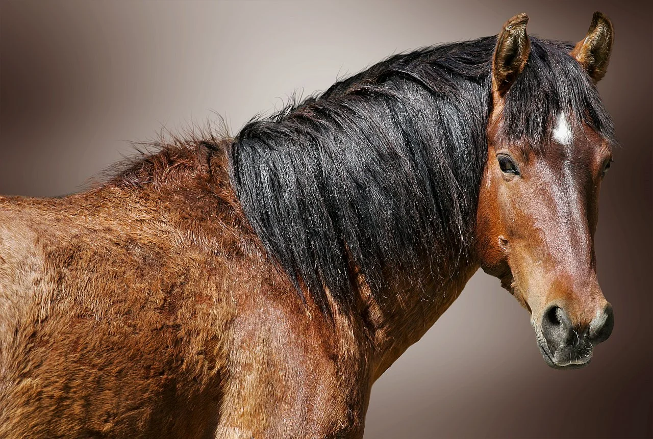 I Must Have Done Something