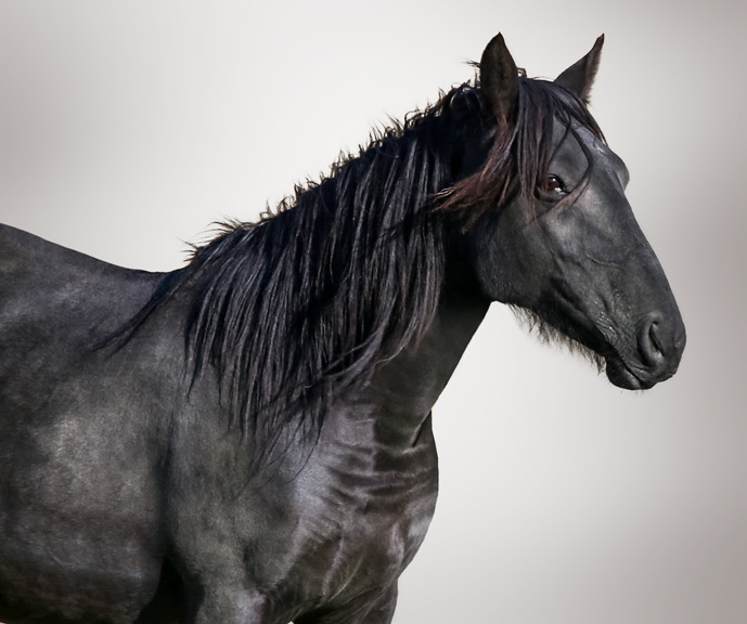 When I Call Your Name