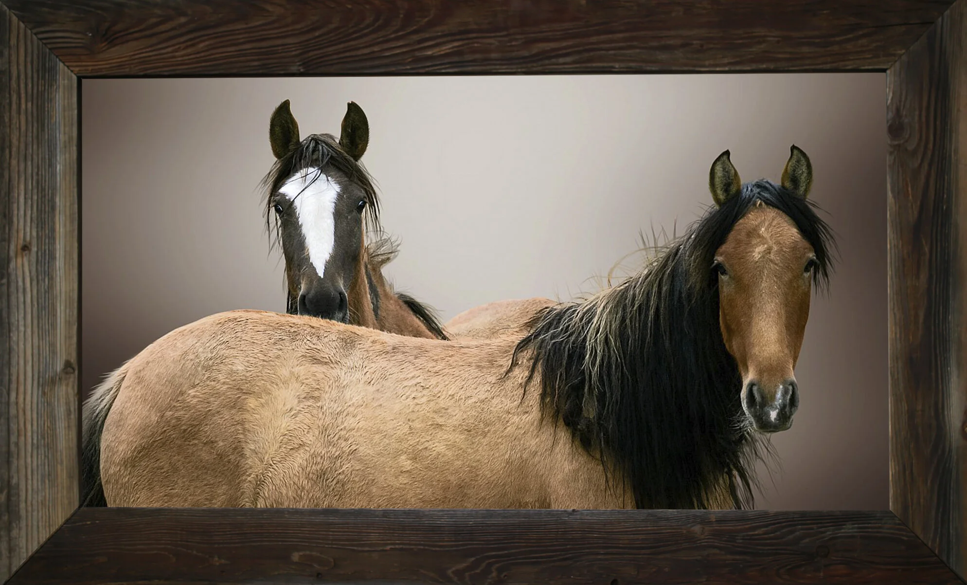 Old Flames from $295.00