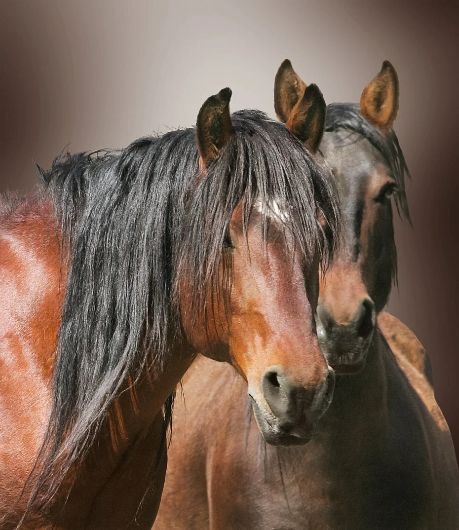 The Way I Am from $295.00