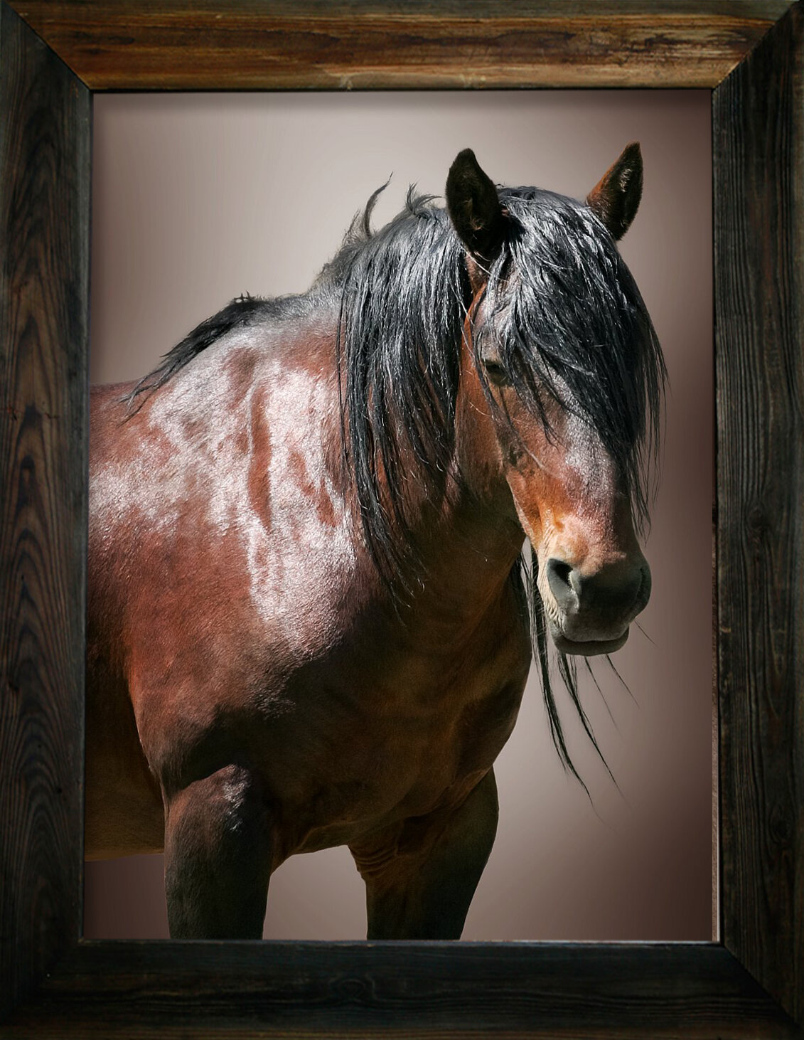 Orphan Child from $295.00