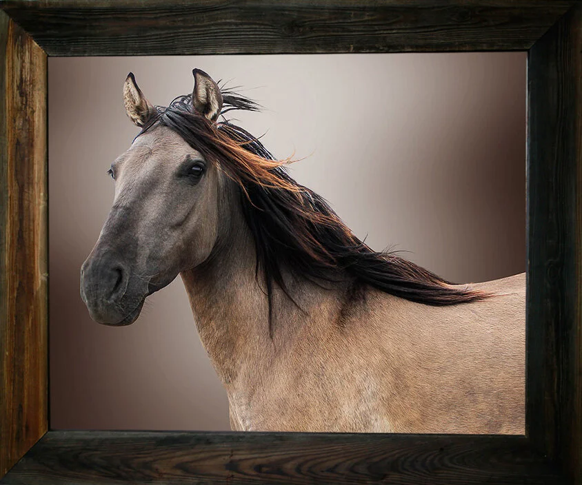 Nobody’s Darlin But Mine from $295.00