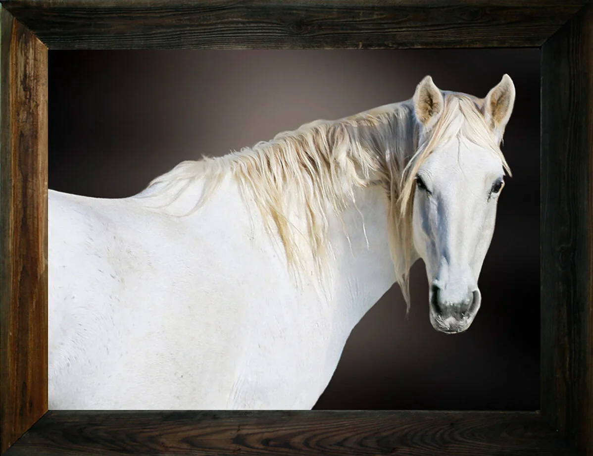 Back In The Mountain from $295.00