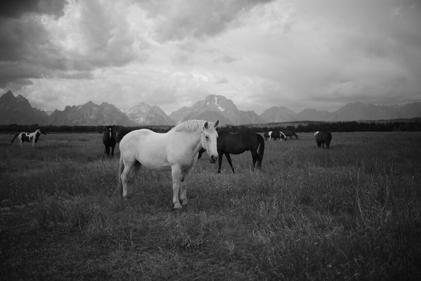 Sleeping Shadows from $295.00