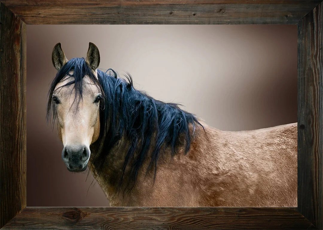 No One to Love from $295.00