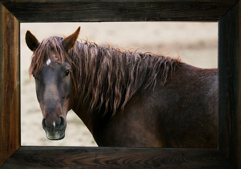 Pretty Polly from $295.00