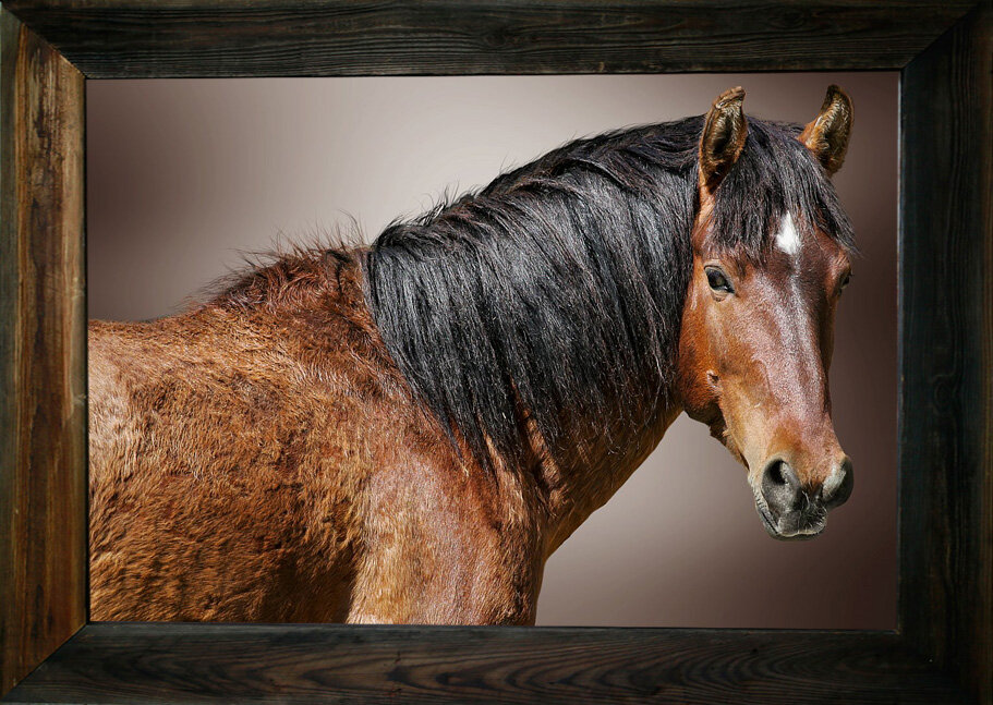 I Must Have Done Something from $295.00