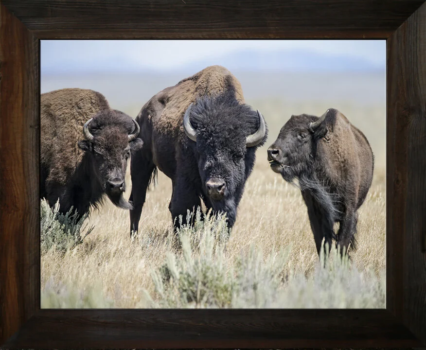 The Tennessee Three from $295.00