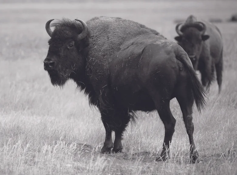 Done My Time from $295.00